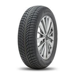 Roadstone Winguard SnowG WH2 195/55R16 87T